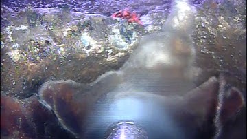 Sewer Robotics removing CIPP liner