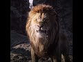 Simba Lost His Father The Lion King Shorts Edit Simba Lost His Father The Lion King Shorts Edit