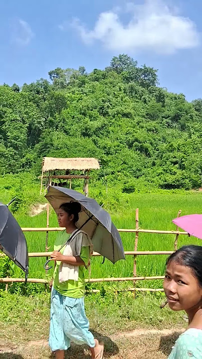 Village lifestyle #assamdiaries #love #new #zudeendaassamesenewsong2023 #assamadventures #assam