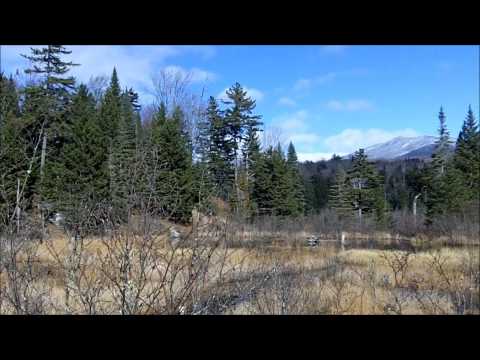 Hike at Newcomb Lake