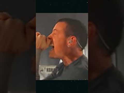17sec scream of