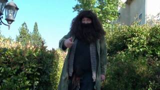 Harry Potter - Rubeus Hagrid Psa