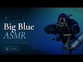 34 Minutes Underwater — Technical Diving ASMR 🎧 | Adriatic Sea, Croatia