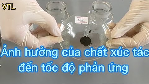 Ảnh Hưởng Của Chất Xúc Tác Đến Tốc Độ Phản Ứng | KHTN 8