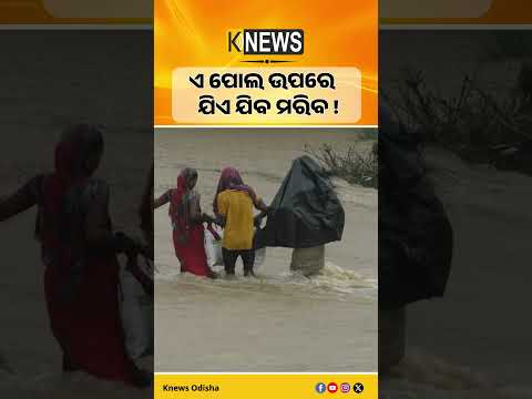 ବୁଡ଼ିଲା ଜାମୁଘାଟ ପୋଲ । Jamughat Bridge । Udala Balasore Road । Deo River Flood ।