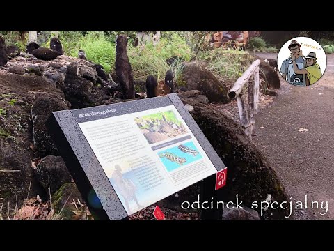 Wideo: Odwiedzanie Waimei na Hawajach na Big Island