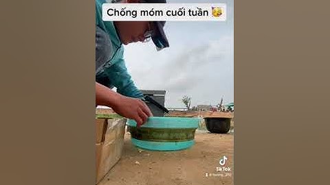Câu Đài | Câu cá phi mồi câu khoai lang trứng kiến #cauca #caucaphi #câuđài #bonh4fishinf