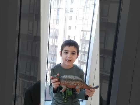Мощный динозавр - анкилозавр.