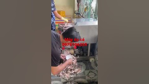 Máy tách xương cá biển bằng inox, máy ép thịt cá, máy lọc xương cá làm chả cá CR300. 0978106359