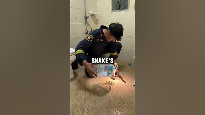 This firefighter is a snake charmer ❤️ (📷 @pinyothesnakewrangler)#shorts