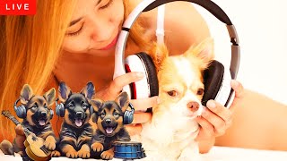 Want pet companionship and relaxing music? LIVE Puppy Sleepover! 🐶🎉💤