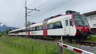 SBB S3 Luzern - Brunnen kurz vor dem Bahnhof Meggen
