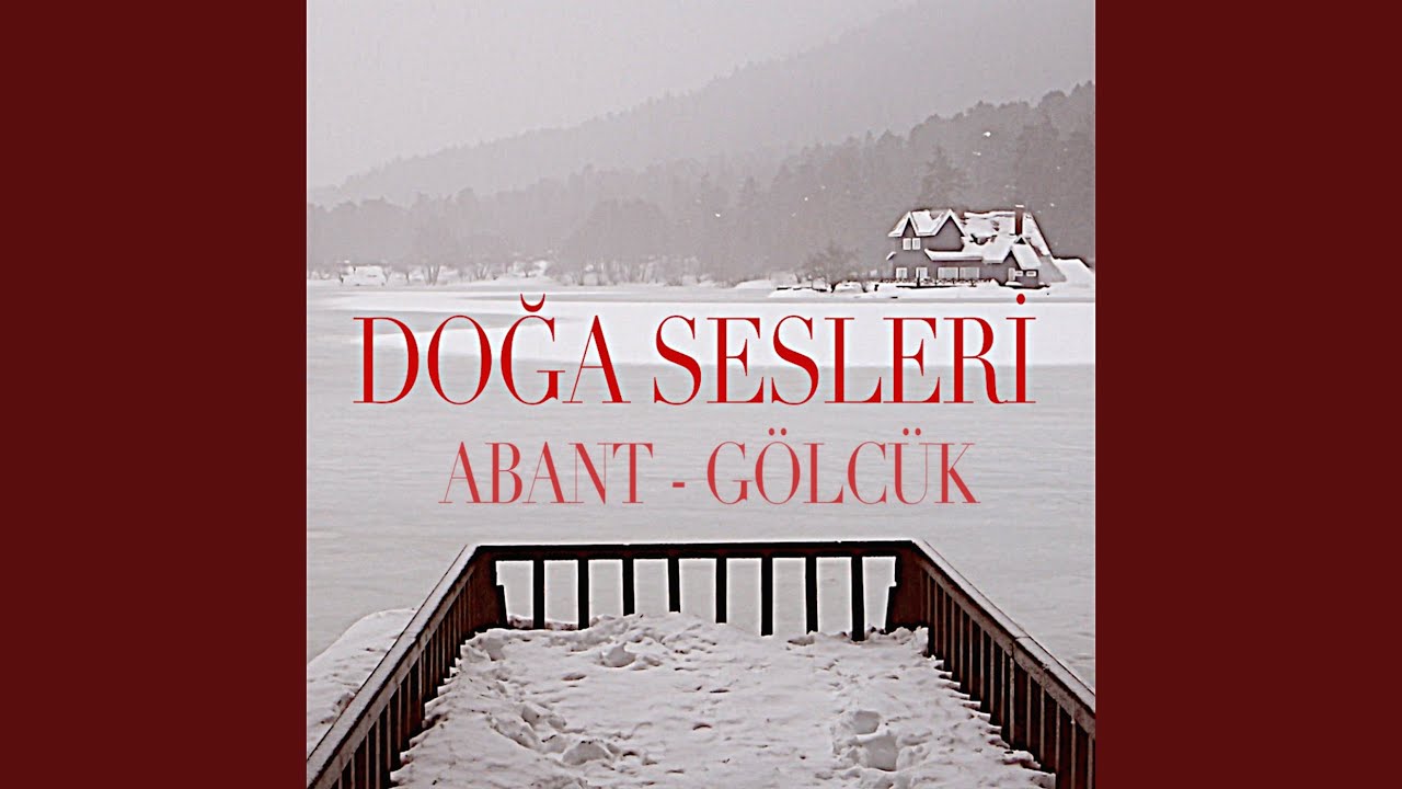 Abant Winter Lake Side With Ambience