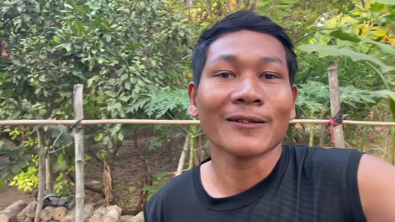 My wife and I are harvesting bananas from our garden