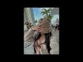 (FREE) Cjota x Veigh x Alee Type Beat  - "Alô, vida?"