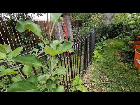 This Fence Changed My Whole Yard: Petorldog Fence Installed!