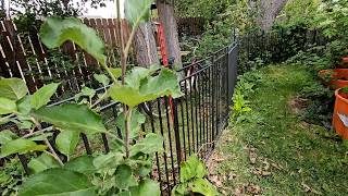 This Fence Changed My Whole Yard: Petorldog Fence Installed!
#petorldog #fence #dogfence @Petorldog_Official @suburbanhomesteaderwy-az
I have the Petorldog Fence installed. In my secret garden and in my shop. How is that possible? The fence is the greatest fence EVER!!!!
Petorldog Garden Fence & Pet Fence
โข Heavy-duty metal panels (stronger than typical garden edging)
โข Can be used as a decorative garden border OR pet barrier
โข Flexible shape (L-shape, U-shape, round, etc.)
โข Easy installation โ no digging required
Product link:
https://www.amazon.com/dp/B0FY2H184R
https://www.amazon.com/dp/B0DQPXBQRF
Suburban Homesteader WY-AZ This Fence Changed My Whole Yard: Petorldog Fence Installed!