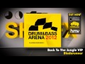Drum&BassArena 2012 (Album Megamix)