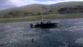 Lower granite dam salmon fishing