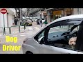 Walking macau streets 4k rua de francisco xavier pereira 