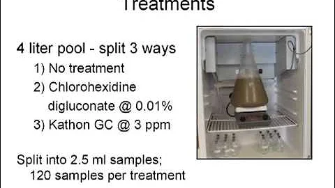 The Basics of Oral Fluid Testing PRRSV and PCV2