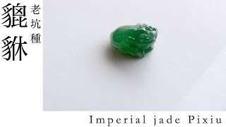 Imperial Jade Pi Xiu 高級感あふれる照りと鮮やかな緑色の翡翠　貔貅　潤翠貔貅