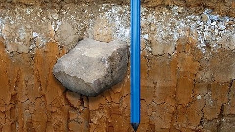 Cover More Ground with HOBOnet