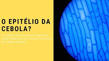 O que acontece com a célula quando adicionamos a solução salina?
