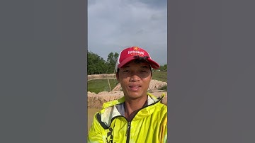 Hồ dịch vụ #câucá #fishing