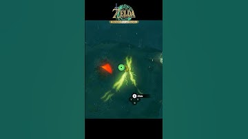 Lightning Strikes !!! #zelda #zeldatotk #totk #switch2 #nintendoswitch