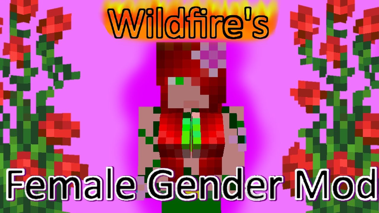 Gender mod 1.16 5. Wildfire s Gender мод. Female Gender мод майнкрафт. Мод Wildfire s Gender в майнкрафт. Wildfire's female Gender Mod.