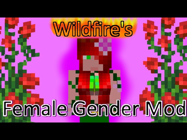 Advanced Skin Customization - Real First Person, Female Gender, Apparel