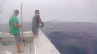 Nantucket Yellowfin and Bigeye