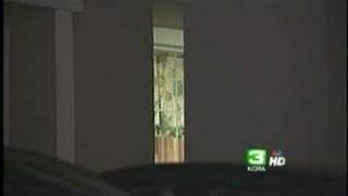 Bandit Roams Natomas On Bike
