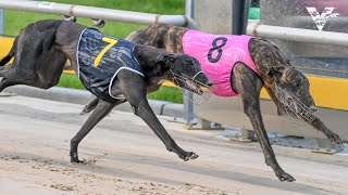 SLE SUN 17 DEC 23 R7