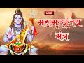 2024  special   mahashivratri special bhajan  shivratri shiv bhajans  shiv bhajan