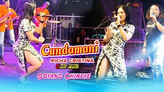 CUNDAMANI - RICHA CRISTINA | ONEPRO LIVE BARUREJO | ORKESAN BANYUWANGI