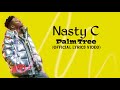 Nasty C - Palm Tree (Official Lyrics video)