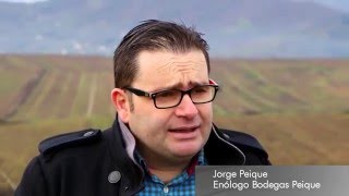 Entre cepas en el Bierzo (Bodegas Peique) - Todovino