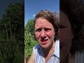 Unterschied Minikurs und Grundkurs