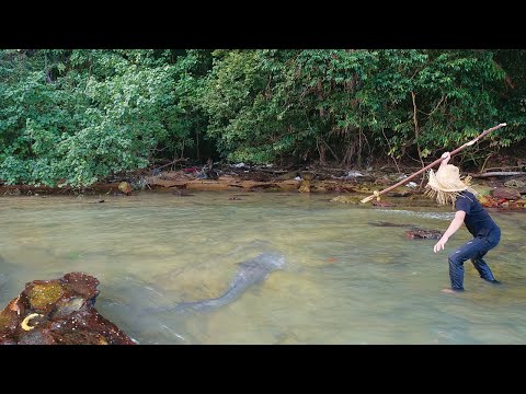 Primitive Technology: Spear Thrower Catch Fish