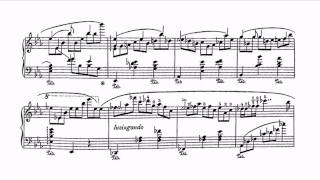 Strauss-Godowsky: Wine, Women &amp; Song piano fantasy