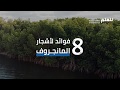 فوائد الفاكهة المذكورة في القرآن الكريم - YouTube