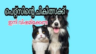 pets insurance and grooming malayalam by cats world 477 views 5 months ago 6 minutes, 56 seconds