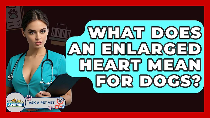 What Does An Enlarged Heart Mean For Dogs? - Ask A Pet Vet