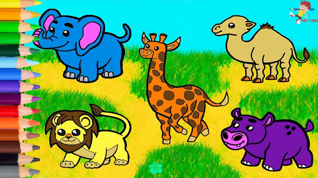 Big 5 animals