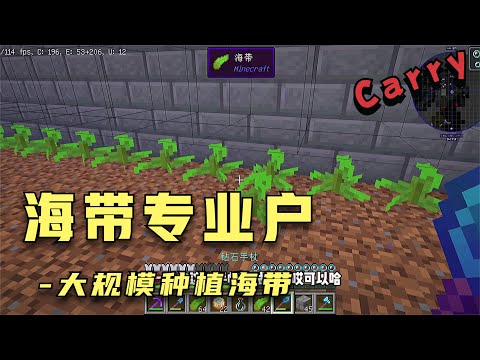 我的世界机械动力生存【86】，种植海带，海带专业户