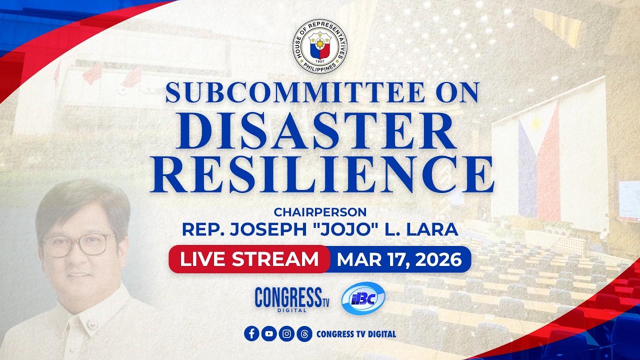 COMMITTEE ON DISASTER RESILIENCE | MARCH 17, 2026