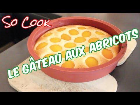 gÂteau-aux-abricots---so-cook