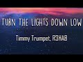 Timmy Trumpet R3HAB Turn The Lights Down Low Lyrics Just Before You Go So I Don T Need To See mp3